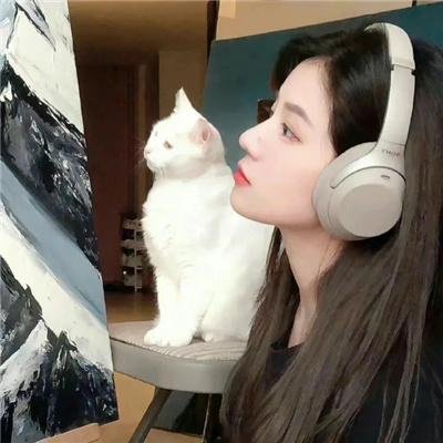 新版：照相馆的秘密